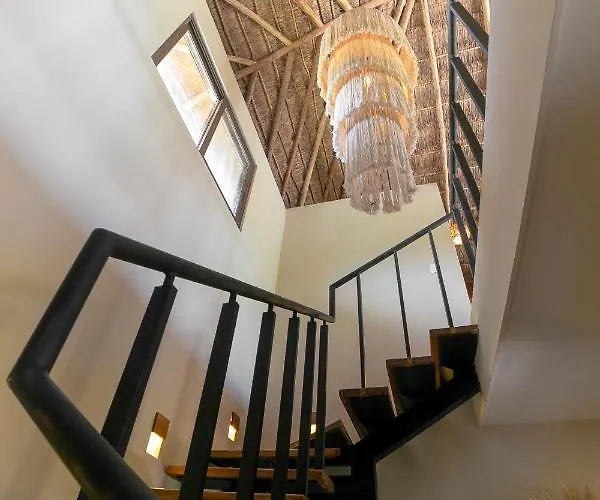 Zereno Boutique Club Access 4*