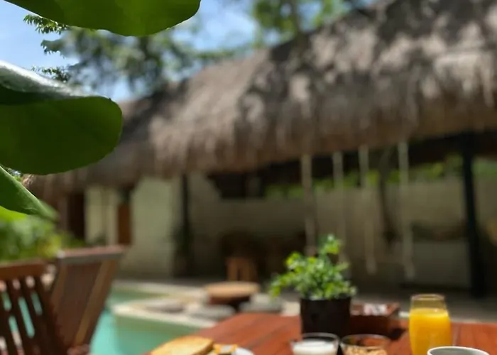 Zereno Boutique Club Access 4*